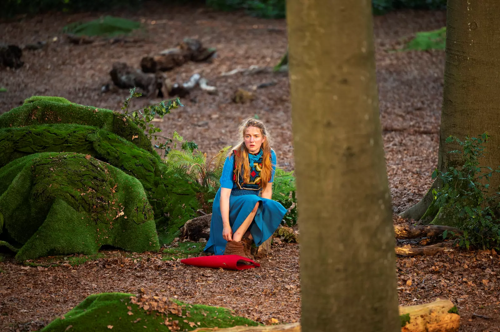 Het Houten Huis - Voor ze verdwijnen