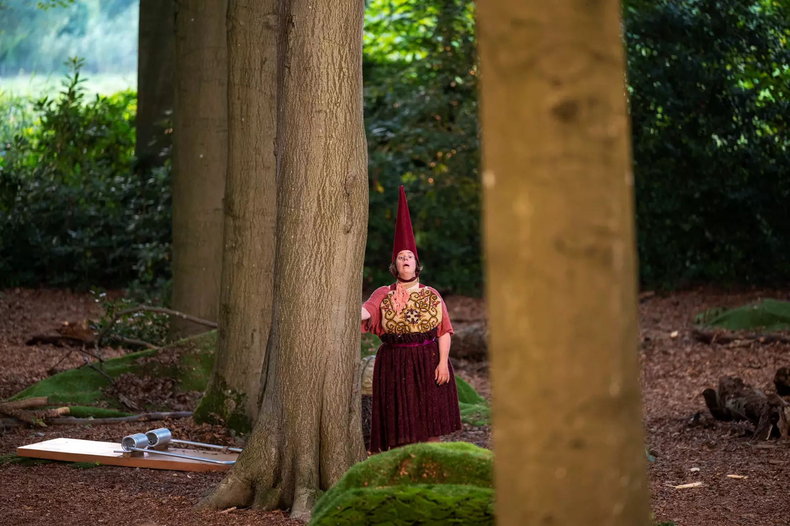 Het Houten Huis - Voor ze verdwijnen
